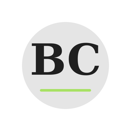 Bray Chimney Repair logo